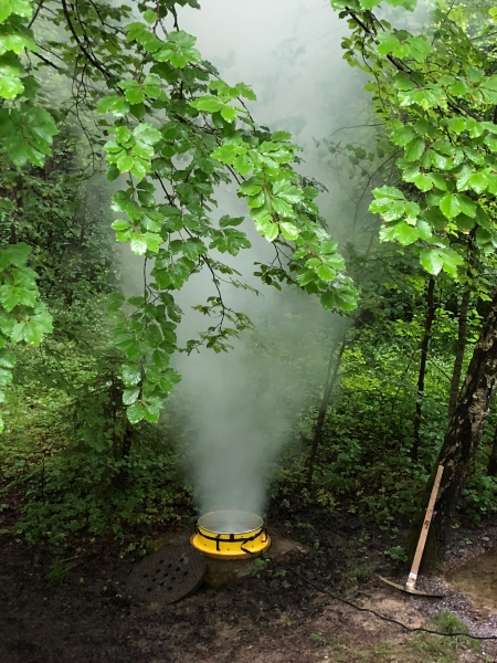 Entlüftung einer Kanalisation