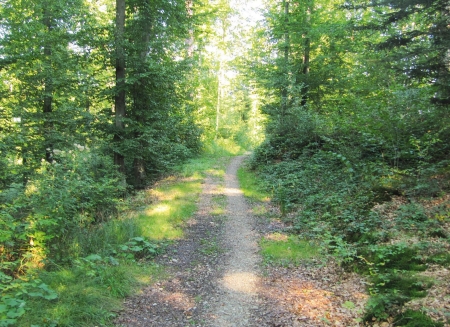 Bild: Kanton St.Gallen