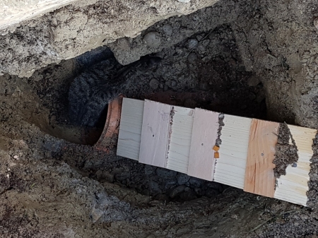 Katze kommt aus Rohr raus