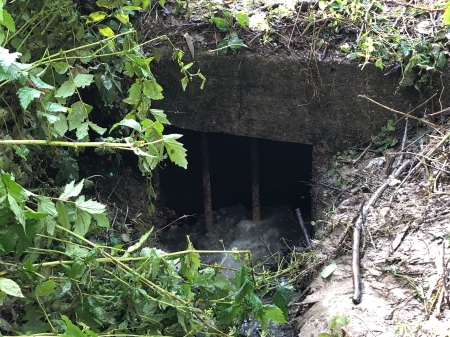 Der betroffene Abfluss