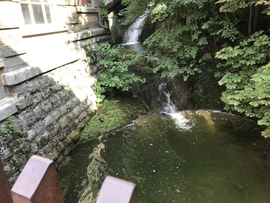 Bild vom Einsatz (FM1today)