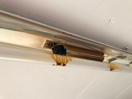 Rauchentwicklung Gröblistrasse