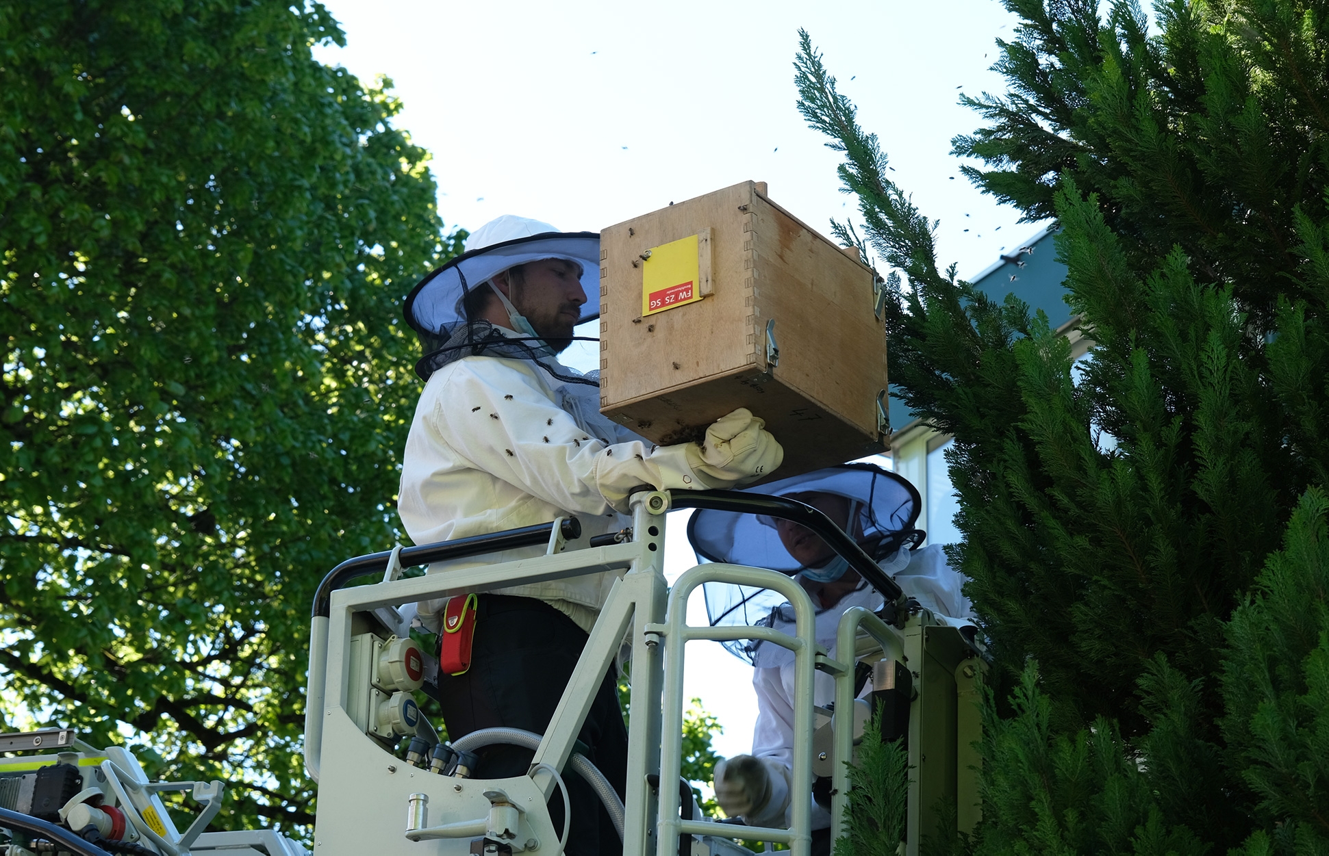 Bild von einem Bieneneinsatz