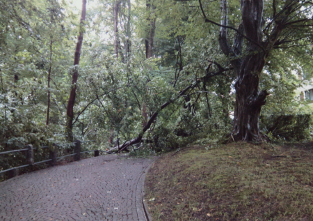 Bild von einem Einsatz